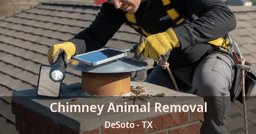 Chimney Animal Removal DeSoto - TX