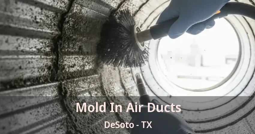 Mold In Air Ducts DeSoto - TX