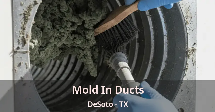 Mold In Ducts DeSoto - TX