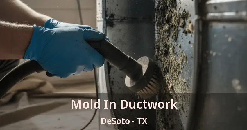 Mold In Ductwork DeSoto - TX